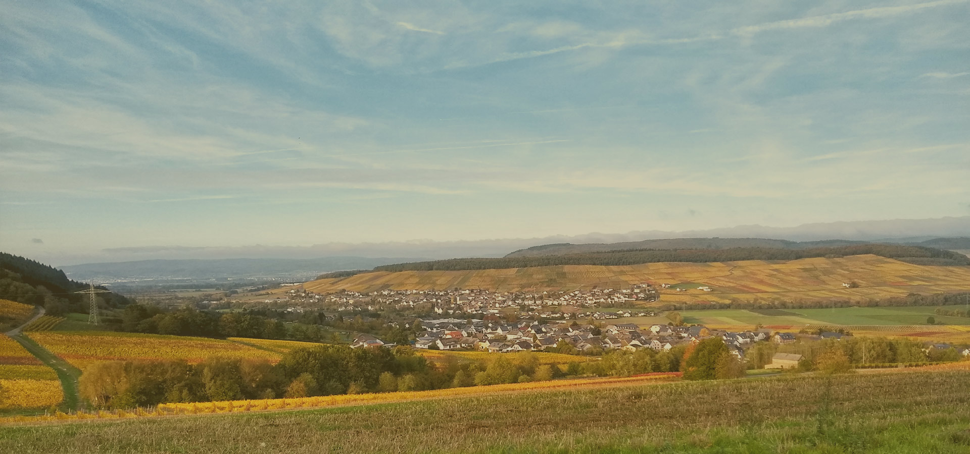 Riesling-Weingut Karl-Heinz Poss