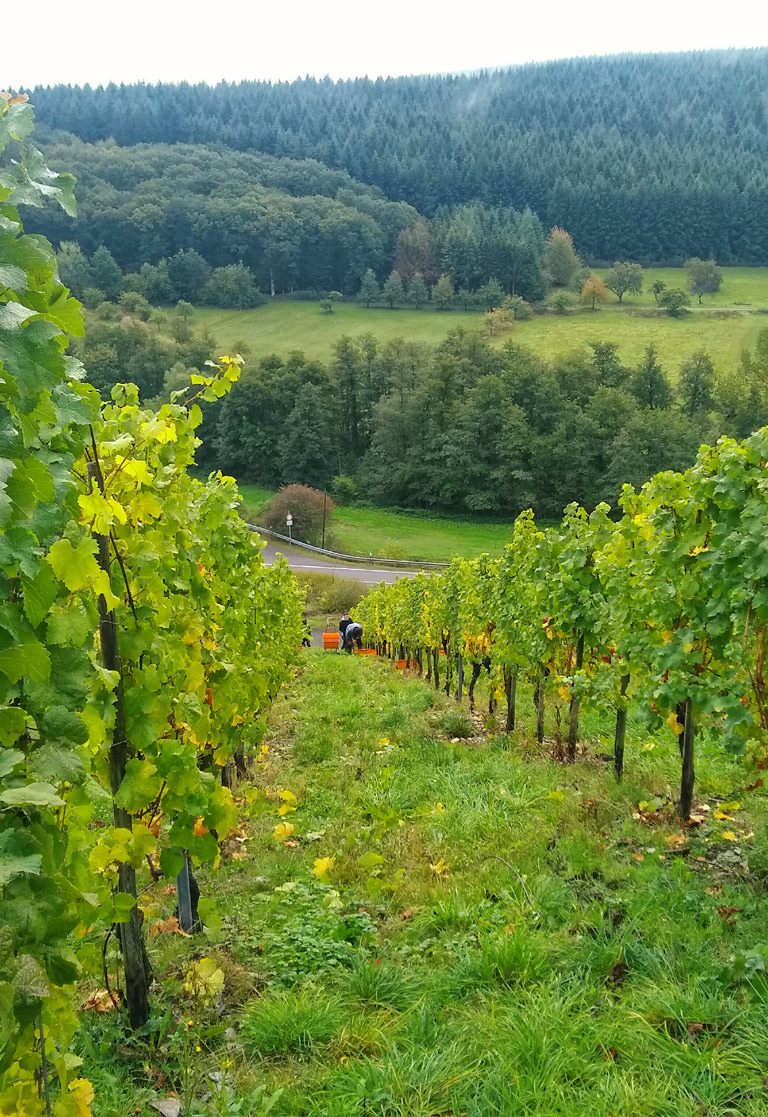 Weingut Karl Heinz Poss Weinlagen